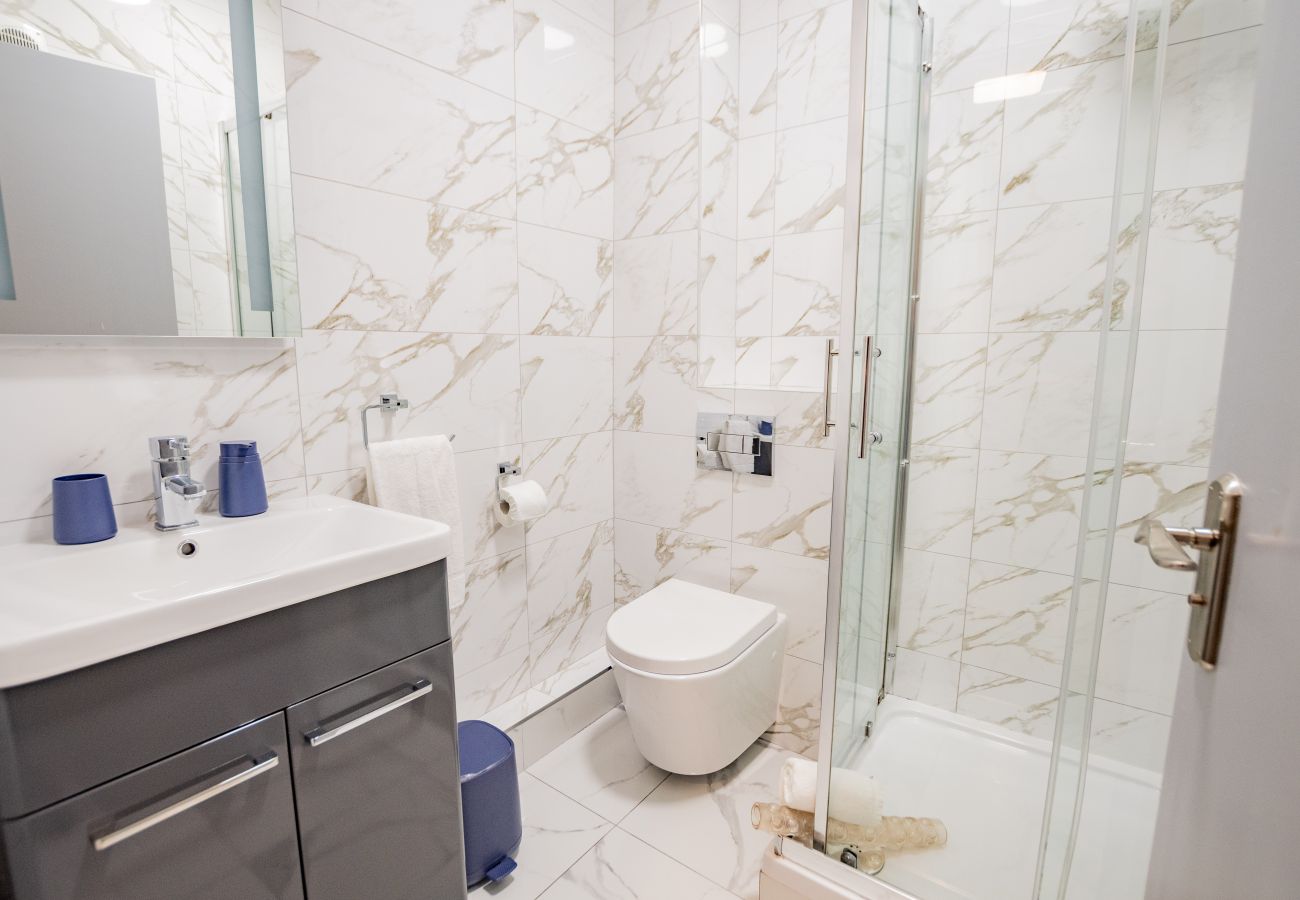Apartment in Galway City - Duplex Apartment at the Galway Docklands